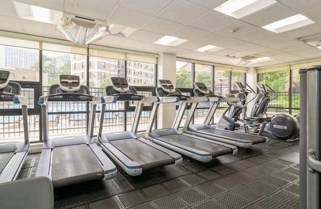 3930 N Pine Grove Ave Unit 1703, Chicago, IL 60613 - gym with a wall of windows and a drop ceiling