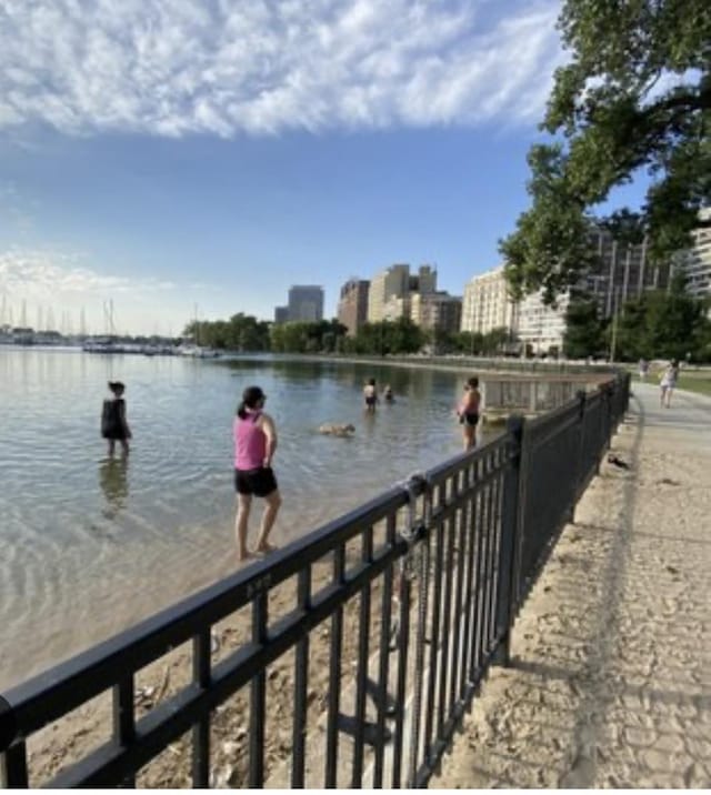 3930 N Pine Grove Ave Unit 1703, Chicago, IL 60613 - water view