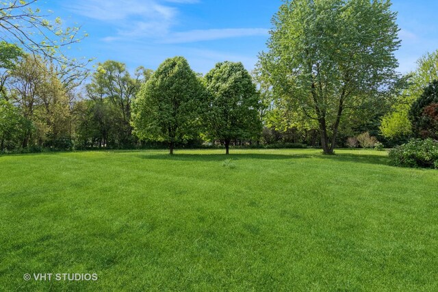view of green lawn