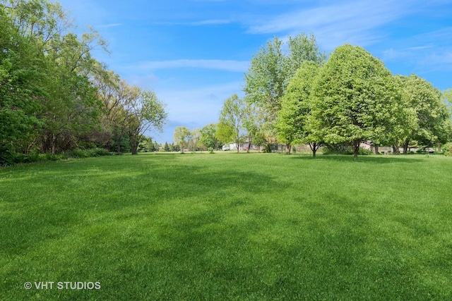 view of grassy yard