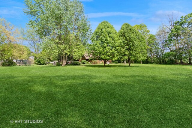 view of green lawn
