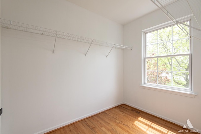 spacious closet with light wood-type flooring