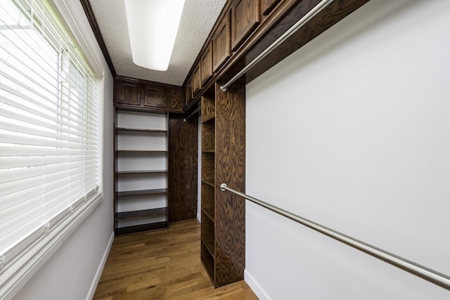 walk in closet with light wood-style flooring