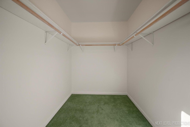 38W283 Deerpath Rd, Batavia, IL 60510 - spacious closet featuring carpet floors