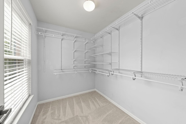 4216 Drexel Ave, Aurora, IL 60504 - walk in closet with carpet flooring