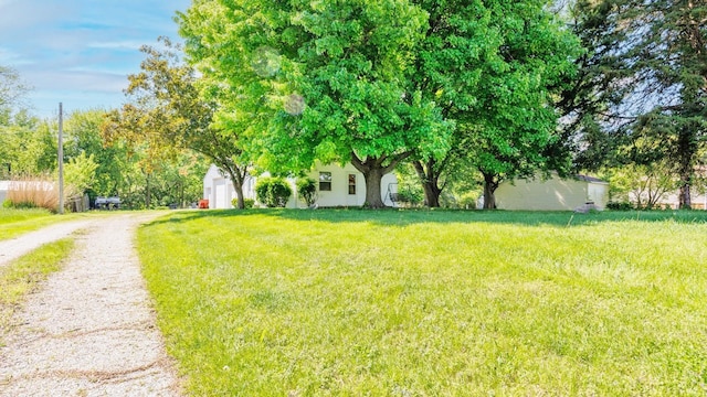 view of grassy yard featuring driveway