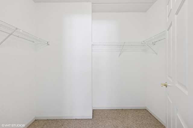 200 N Addison Ave Unit 204, Elmhurst, IL 60126 - walk in closet featuring light carpet