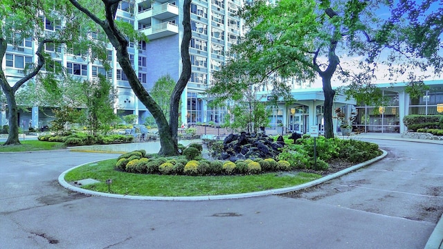 view of community