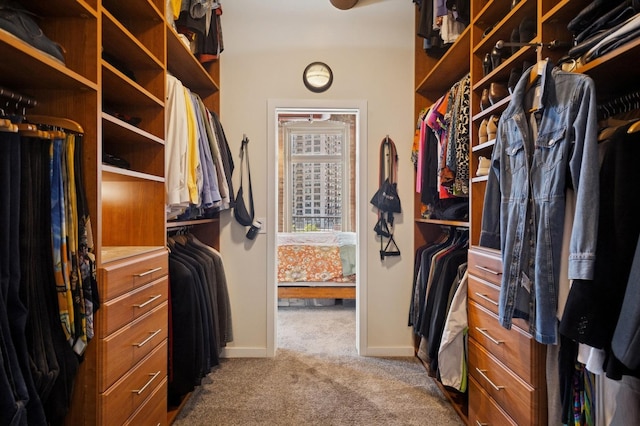walk in closet with carpet