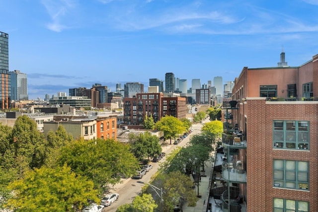 1327 W Washington Blvd Unit 5G-H, Chicago, IL 60607 - city view