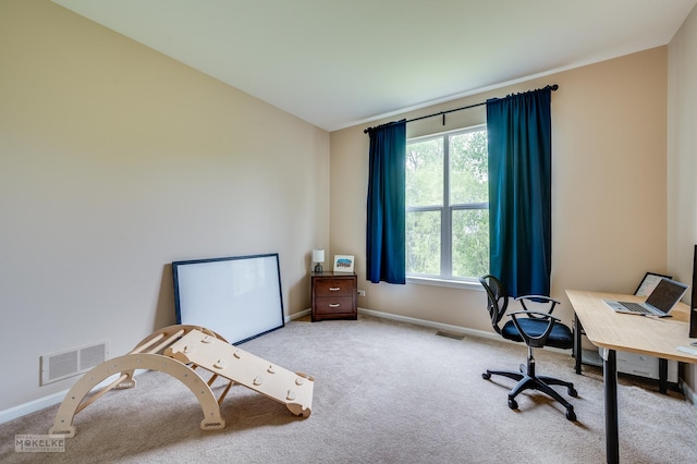 241 Morgan Valley Dr, Oswego, IL 60543 - office space with carpet flooring and baseboards