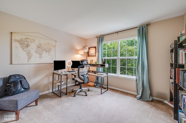 241 Morgan Valley Dr, Oswego, IL 60543 - office space with carpet and baseboards