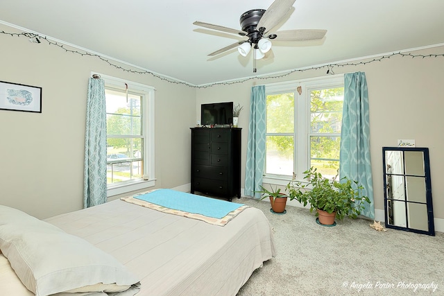 10208 N Main St, Richmond, IL 60071 - bedroom featuring multiple windows, carpet floors, ceiling fan, and baseboards