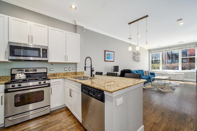 kitchen with stainless steel appliances, a sink, open floor plan, a peninsula, and decorative backsplash