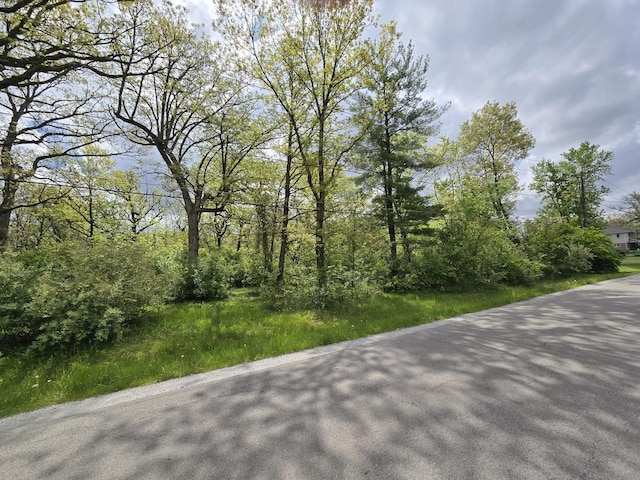 23627 S Ashland Ave, Crete, IL 60417 - photo 2