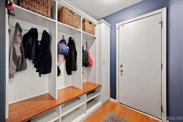 311 Mayfair Ln, South Elgin, IL 60177 - mudroom featuring light wood finished floors