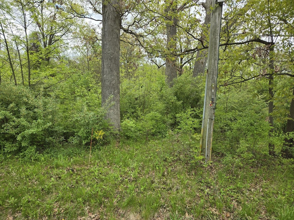 23647 S Ashland Ave, Crete, IL 60417 - photo 2