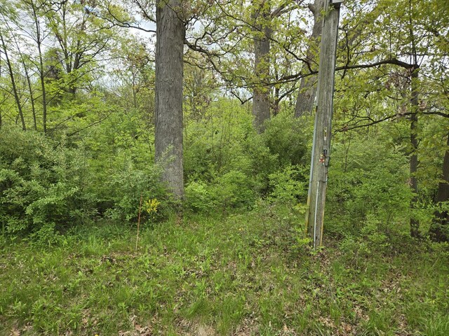 23647 S Ashland Ave, Crete, IL 60417 - photo 2