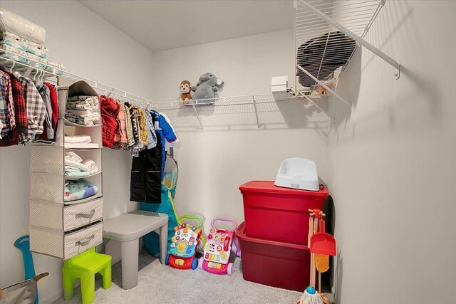 6103 Winterhaven Dr, Joliet, IL 60431 - spacious closet featuring carpet flooring