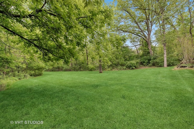 1302 Bradley Ct, Spring Grove, IL 60081 - view of grassy yard