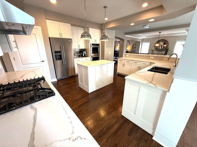 12074 Winterberry Ln, Plainfield, IL 60585 - kitchen with a sink, exhaust hood, appliances with stainless steel finishes, dark wood-style floors, and tasteful backsplash