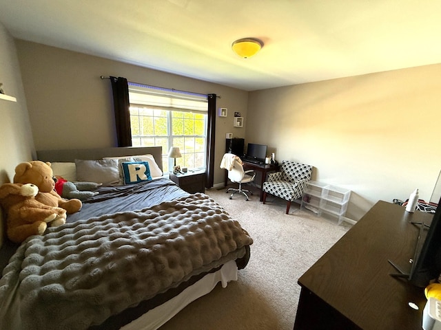 12074 Winterberry Ln, Plainfield, IL 60585 - bedroom featuring carpet and baseboards