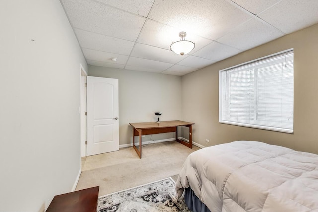 bedroom with carpet floors, a paneled ceiling, and baseboards