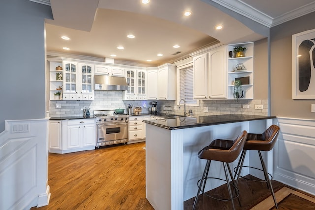 853 W Buckingham Pl Unit 4, Chicago, IL 60657 - kitchen with open shelves, designer stove, under cabinet range hood, crown molding, and a sink