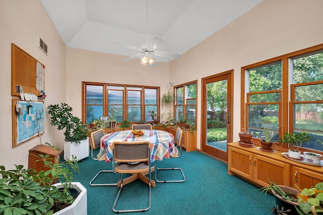 1002 Birchwood Ct, Morris, IL 60450 - sunroom / solarium featuring carpet