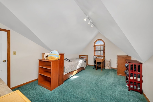 1002 Birchwood Ct, Morris, IL 60450 - carpeted bedroom with track lighting, baseboards, and lofted ceiling