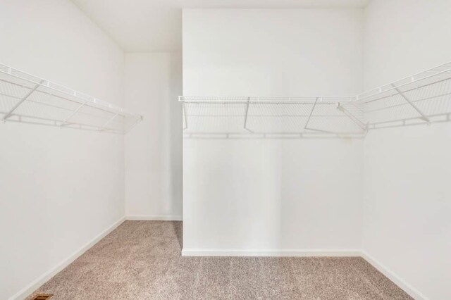 2611 Harnish Dr, Algonquin, IL 60102 - spacious closet with carpet