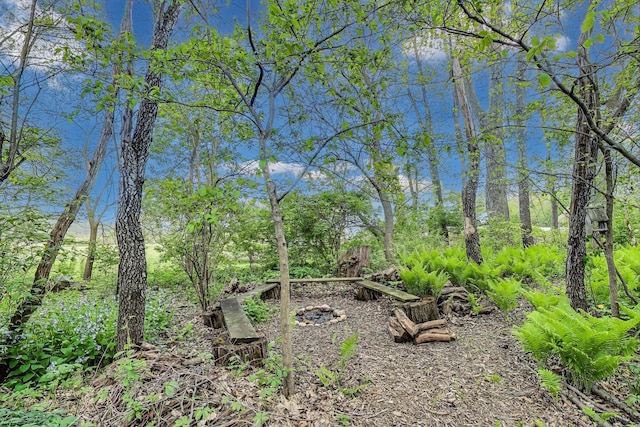 view of undeveloped land