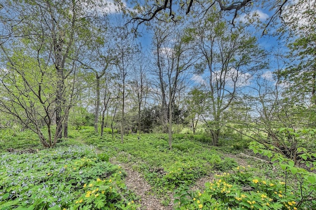 view of nature