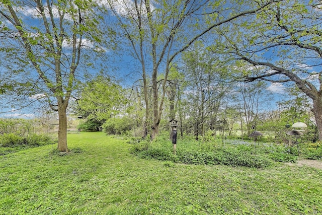 view of green lawn