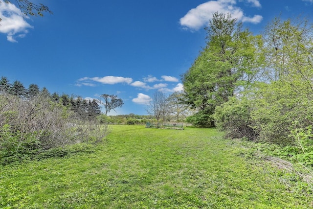 view of grassy yard