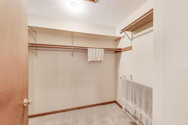 spacious closet with carpet floors