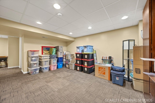 485 Mayfield Ln, Aurora, IL 60504 - view of storage