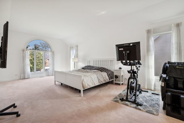 bedroom with carpet flooring and lofted ceiling