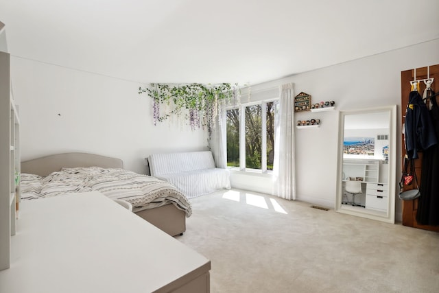 unfurnished bedroom featuring carpet