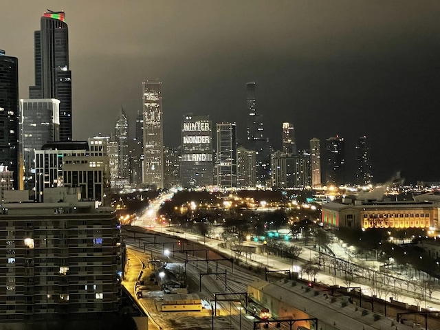 1717 S Prairie Ave Unit 1902, Chicago, IL 60616 - view of city with a view of city lights