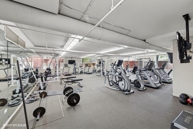 1717 S Prairie Ave Unit 1902, Chicago, IL 60616 - gym featuring carpet flooring
