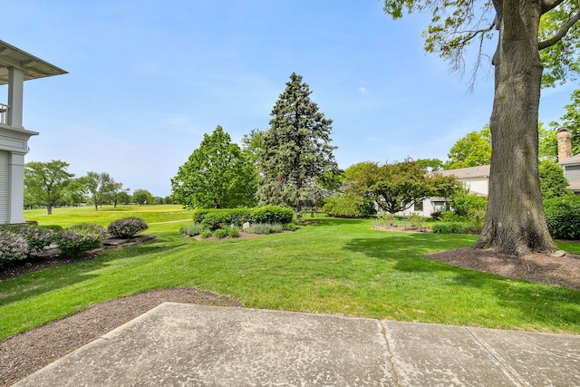 1405 N W St, Naperville, IL 60563 - view of green lawn