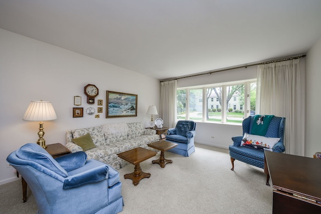 1405 N W St, Naperville, IL 60563 - living room with carpet and baseboards