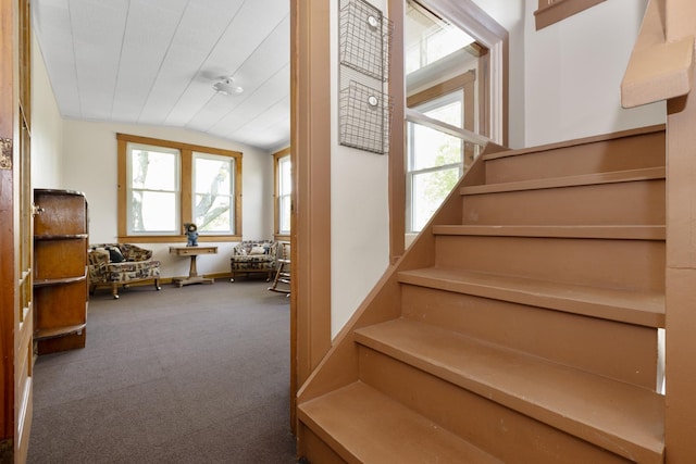 staircase with plenty of natural light, lofted ceiling, and carpet flooring
