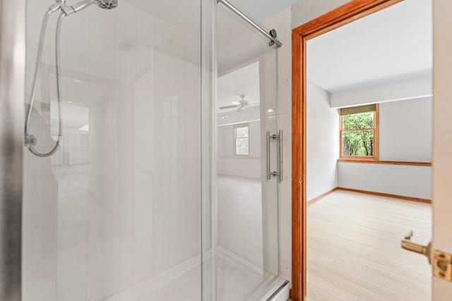 3302 Greenwood Ln, Saint Charles, IL 60175 - full bathroom with a shower stall, a ceiling fan, and baseboards