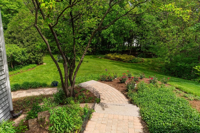 3302 Greenwood Ln, Saint Charles, IL 60175 - view of green lawn