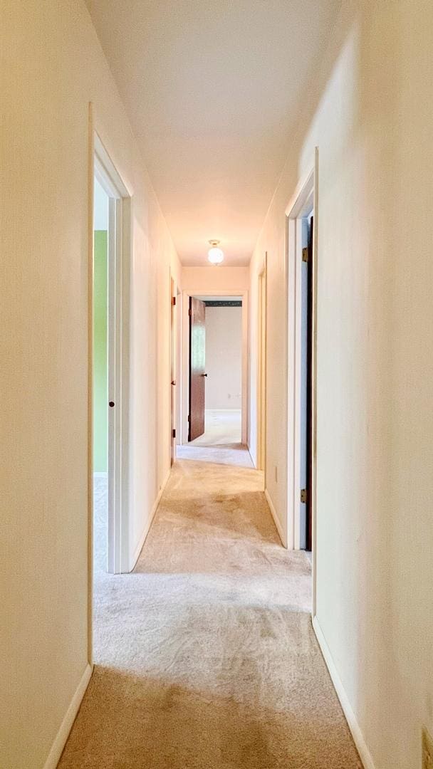 1305 Baugh Dr, Normal, IL 61761 - corridor featuring carpet and baseboards