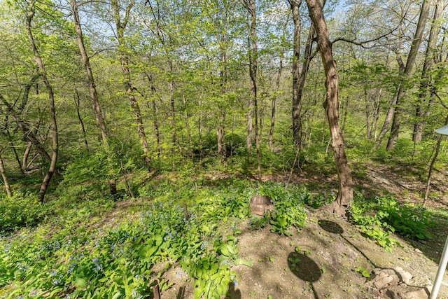 1479 Old Mill Rd, Franklin Grove, IL 61031 - view of tree filled area