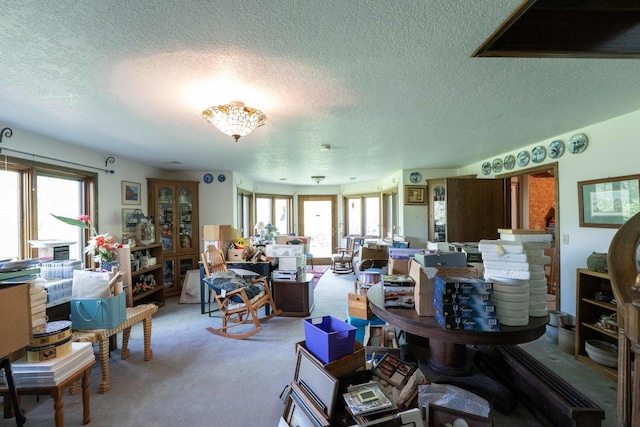 1479 Old Mill Rd, Franklin Grove, IL 61031 - living area featuring a textured ceiling, plenty of natural light, and carpet
