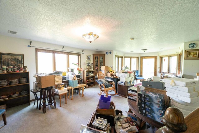 1479 Old Mill Rd, Franklin Grove, IL 61031 - living room with healthy amount of natural light, a textured ceiling, and carpet